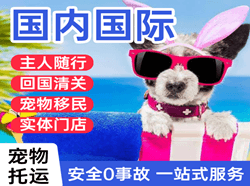 临汾尧都机场空运国际宠物托运 【国